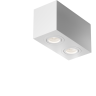 Потолочный светильник MAYTONI ATOM C017CL-02W
